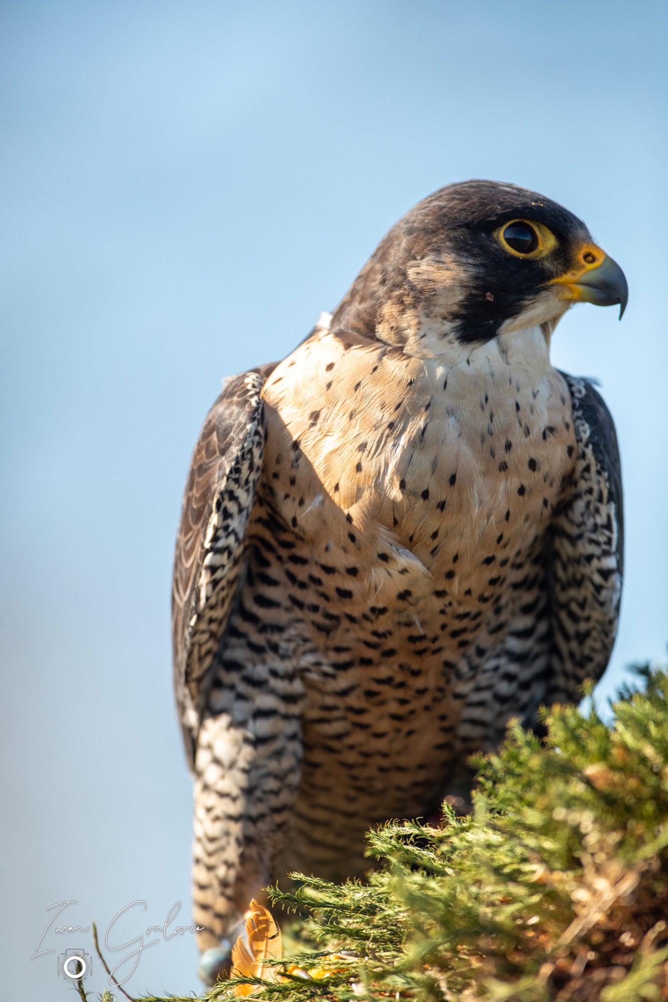 04 maart 2022 143626 1DX43554